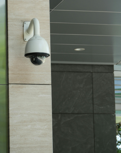 camara vigilancia